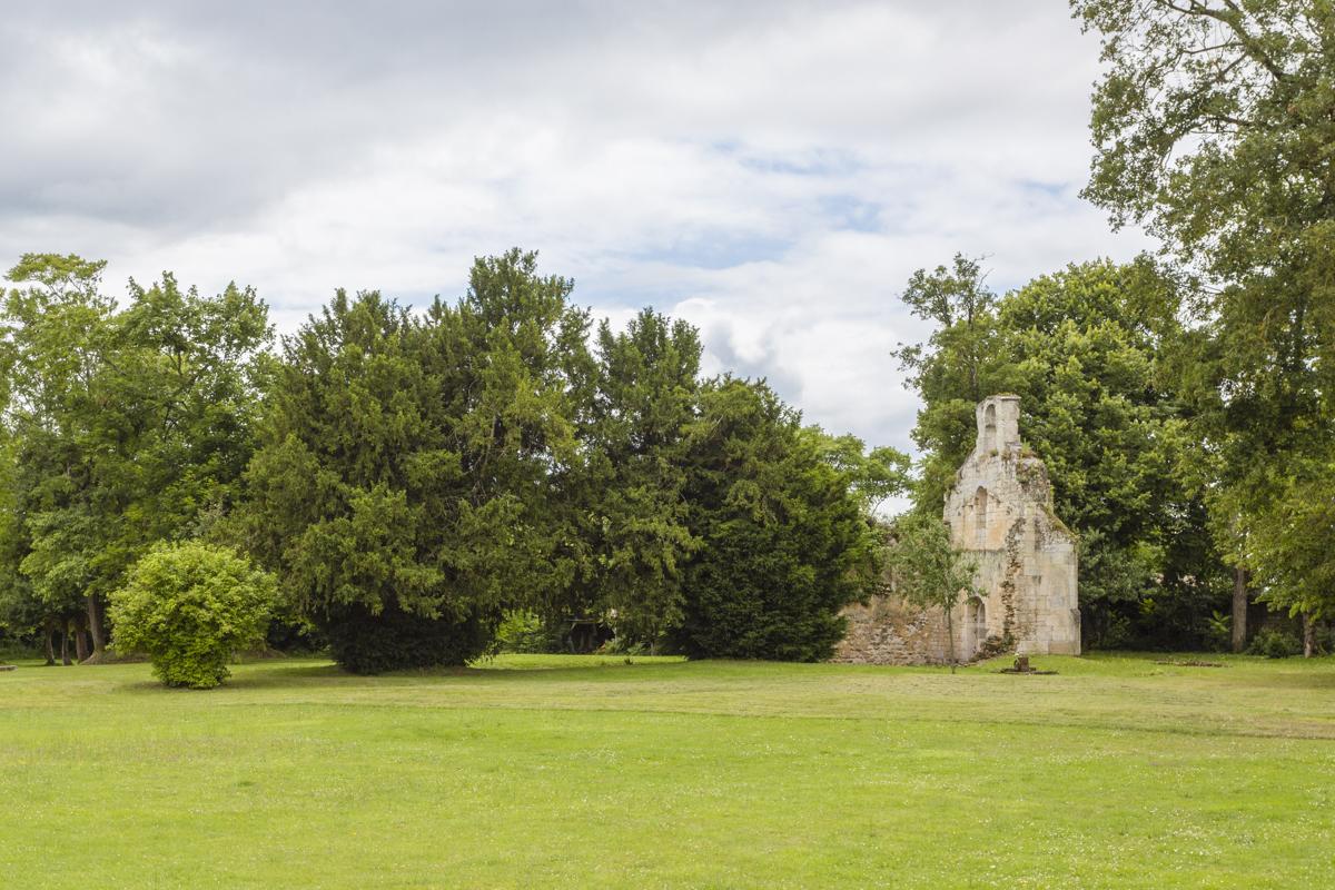 crop_9999_1000_Chateau-Serbise-Estate-Aquitaine-Olivers-Travels__20_